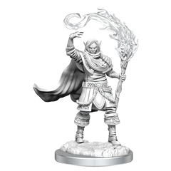 D&D Nolzur's Marvelous Minitures: Elf Cleric Male | Galactic Gamez