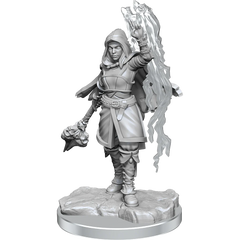 D&D Nolzur's Marvelous Minitures:  Half-Elf Warlock Female | Galactic Gamez