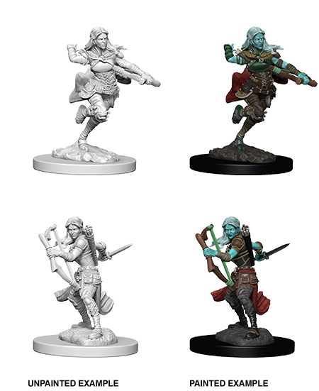 D&D Nolzur's Marvelous Miniatures: Air Genasi Rogue | Galactic Gamez