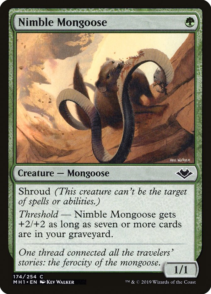 Nimble Mongoose [Modern Horizons] | Galactic Gamez