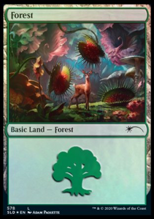 Forest (Predatory) (578) [Secret Lair Drop Promos] | Galactic Gamez