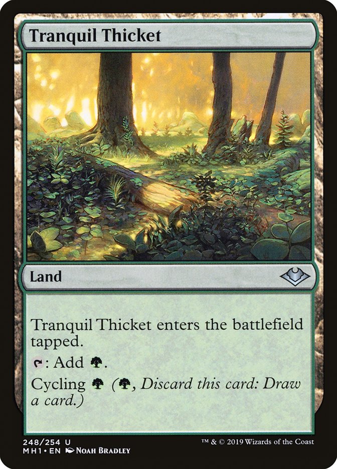 Tranquil Thicket [Modern Horizons] | Galactic Gamez