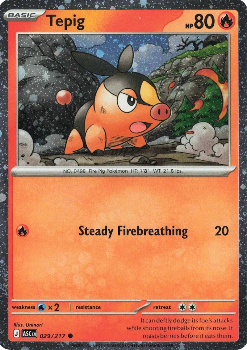 Tepig (029/217) (Cosmos Holo) [Miscellaneous Cards] | Galactic Gamez