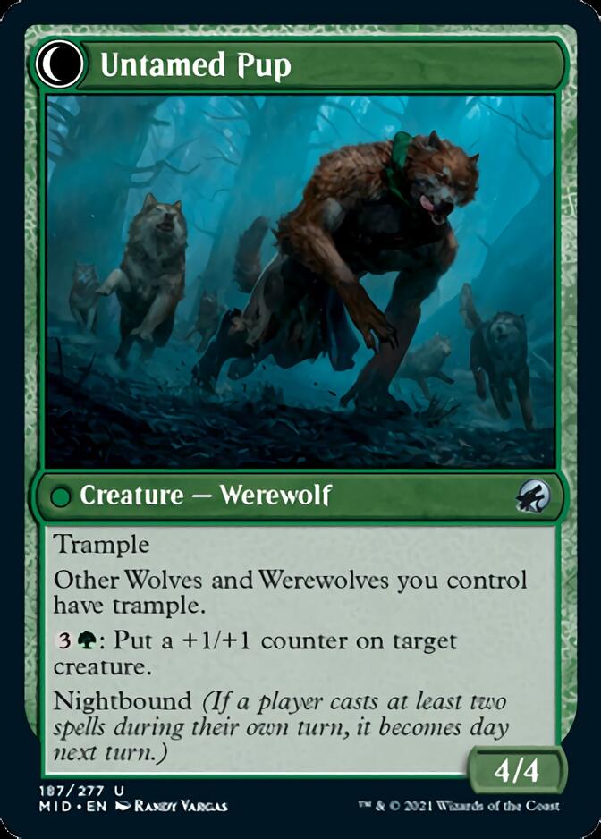 Hound Tamer // Untamed Pup [Innistrad: Midnight Hunt] | Galactic Gamez
