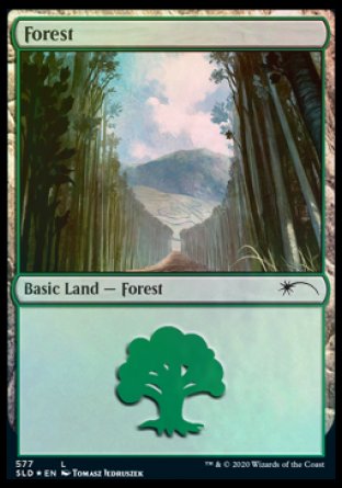 Forest (Walls) (577) [Secret Lair Drop Promos] | Galactic Gamez