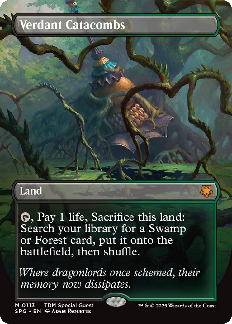 Verdant Catacombs (Borderless) [Tarkir: Dragonstorm Special Guests] | Galactic Gamez