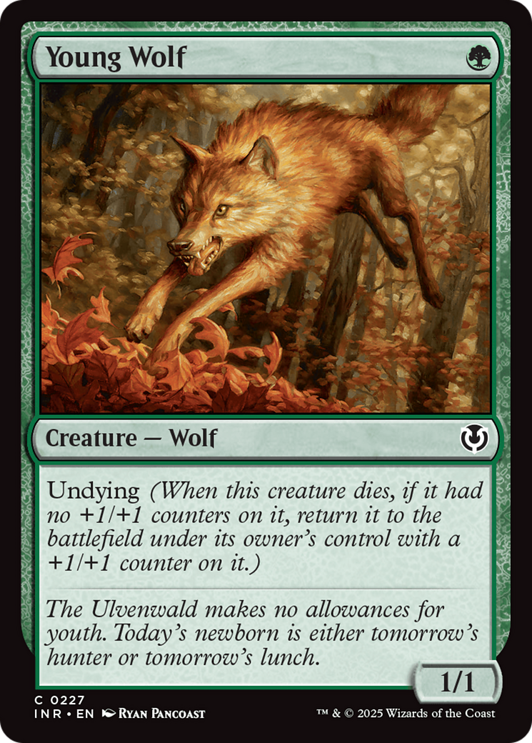 Young Wolf [Innistrad Remastered] | Galactic Gamez