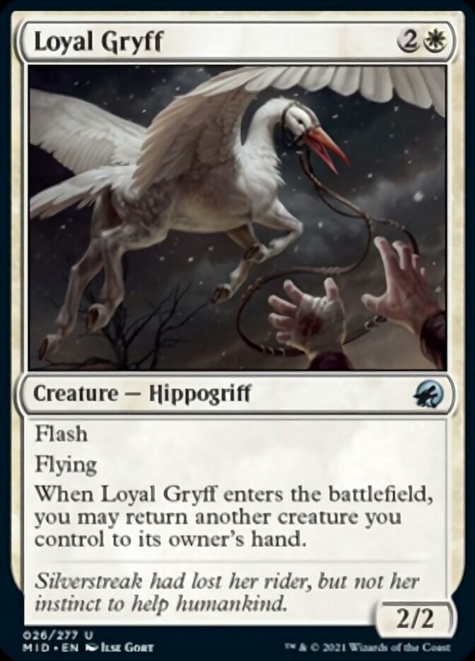 Loyal Gryff [Innistrad: Midnight Hunt] | Galactic Gamez