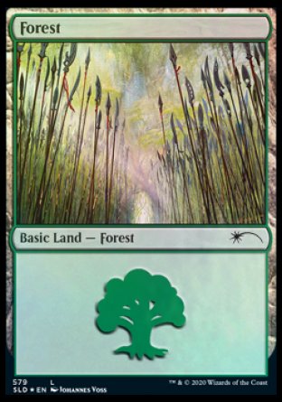 Forest (Elves) (579) [Secret Lair Drop Promos] | Galactic Gamez