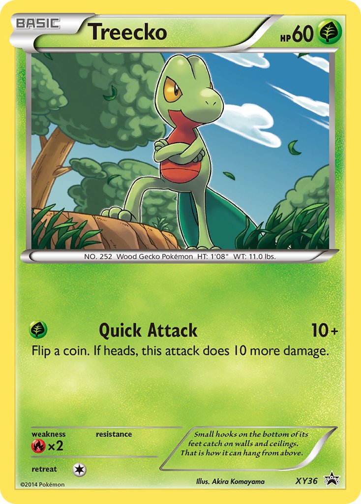 Treecko (XY36) [XY: Black Star Promos] | Galactic Gamez