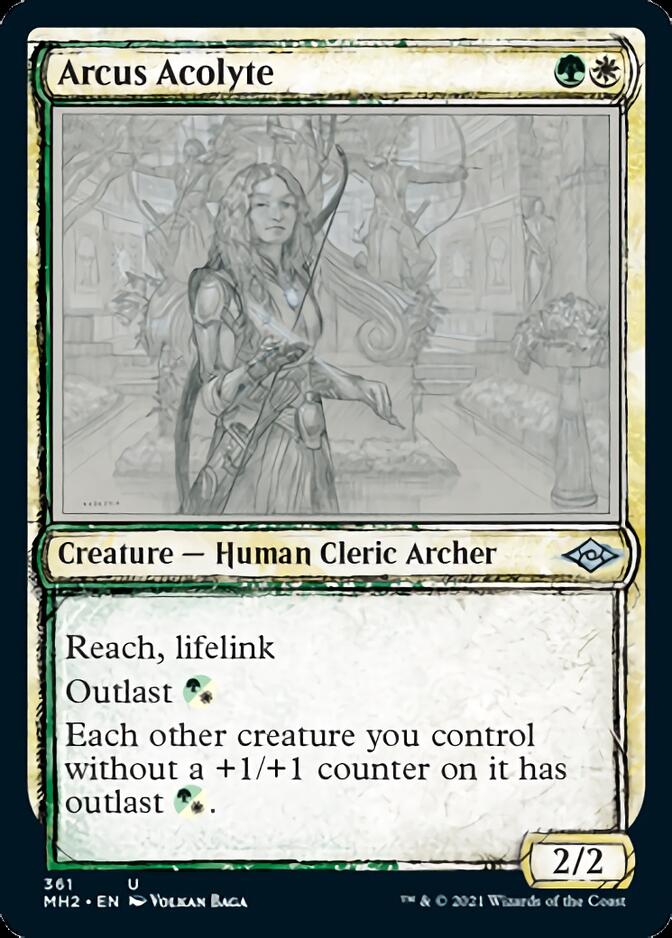 Arcus Acolyte (Sketch) [Modern Horizons 2] | Galactic Gamez