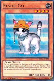 Rescue Cat [DUSA-EN072] Ultra Rare | Galactic Gamez