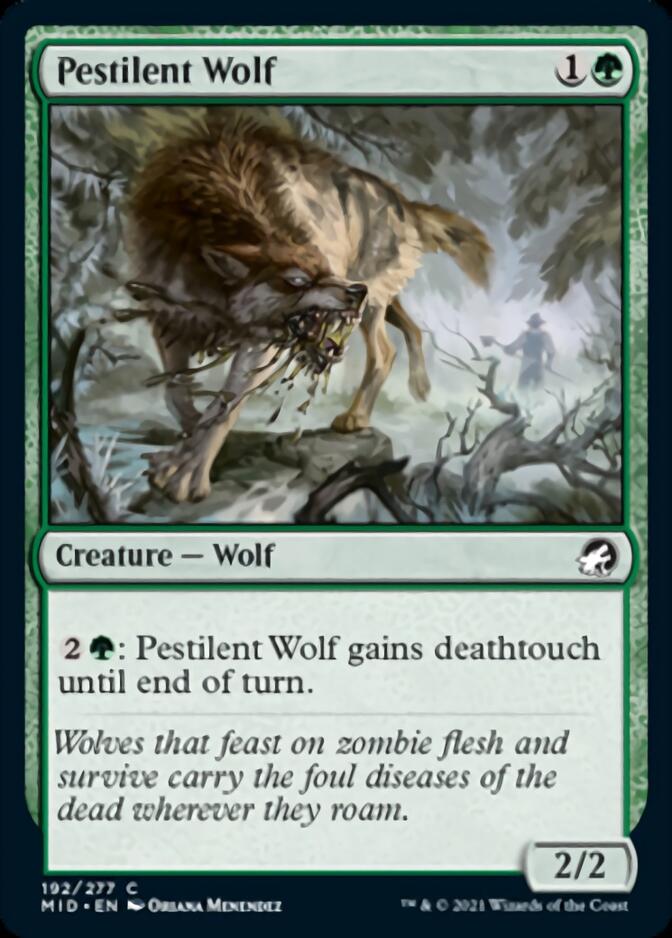 Pestilent Wolf [Innistrad: Midnight Hunt] | Galactic Gamez