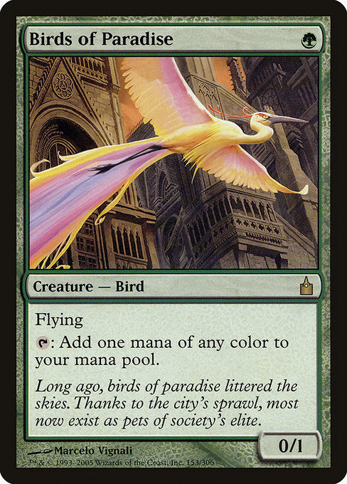 Birds of Paradise [Ravnica: City of Guilds] | Galactic Gamez