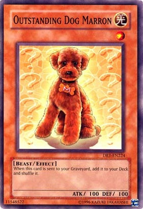 Outstanding Dog Marron [DR1-EN224] Common | Galactic Gamez