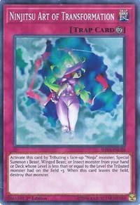 Ninjitsu Art of Transformation [SHVA-EN028] Super Rare | Galactic Gamez