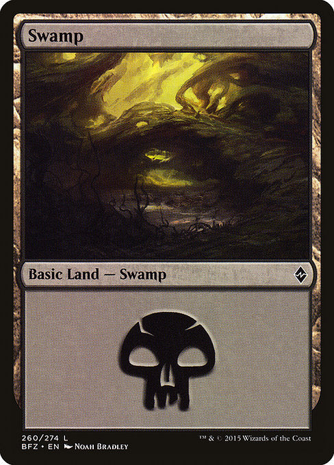 Swamp [Battle for Zendikar] | Galactic Gamez