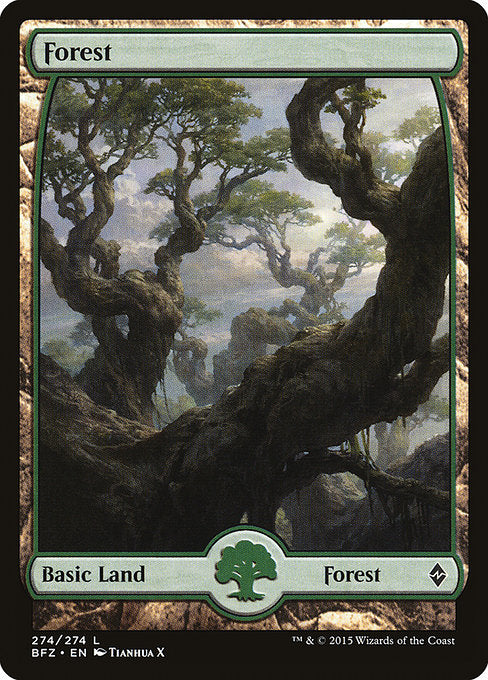 Forest [Battle for Zendikar] | Galactic Gamez