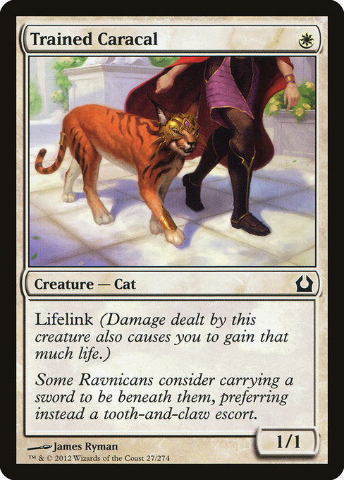 Trained Caracal [Return to Ravnica] | Galactic Gamez