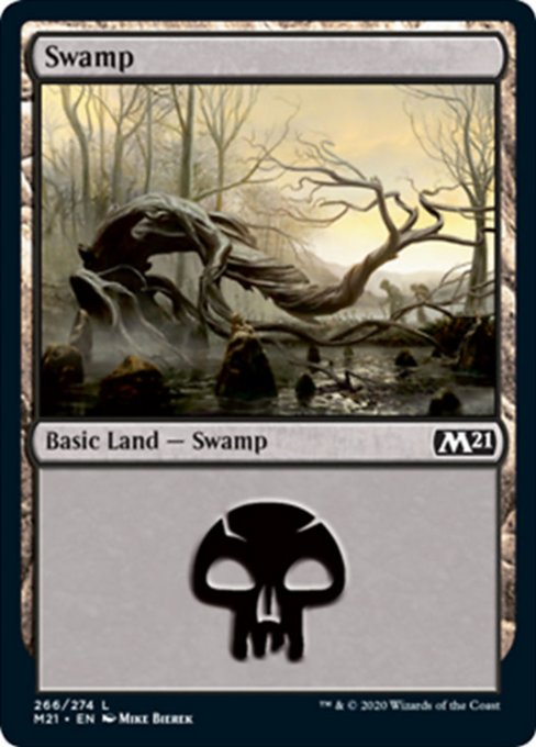 Swamp [Core Set 2021] | Galactic Gamez