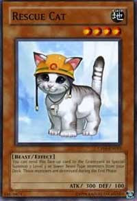 Rescue Cat [CP05-EN015] Common | Galactic Gamez