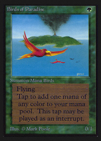 Birds of Paradise (IE) [Intl. Collectors’ Edition] | Galactic Gamez
