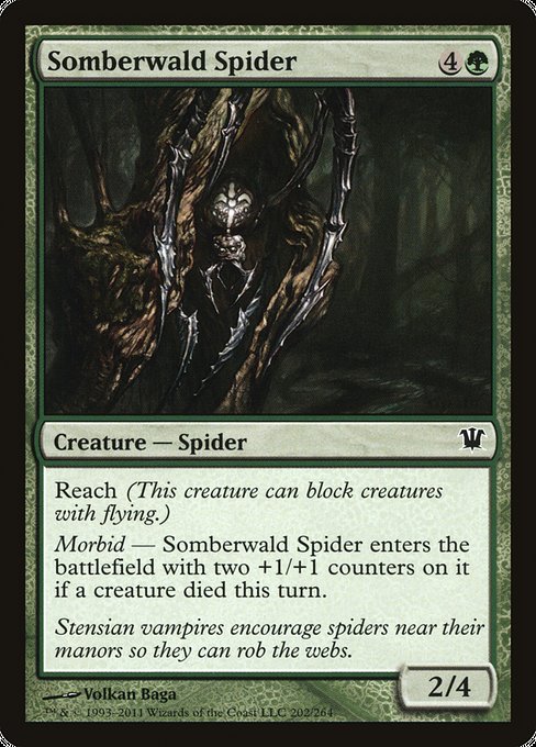 Somberwald Spider [Innistrad] | Galactic Gamez