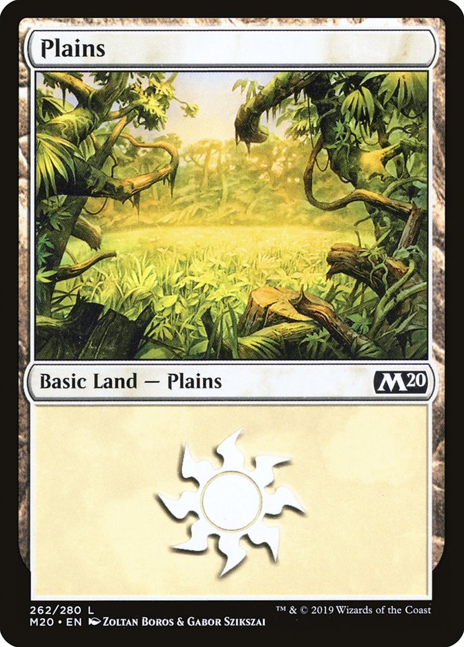 Plains (262) [Core Set 2020] | Galactic Gamez