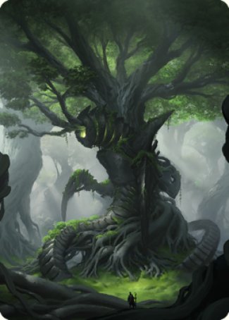 Forest Art Card [The Brothers' War Art Series] | Galactic Gamez