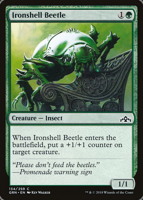 Ironshell Beetle [Guilds of Ravnica] | Galactic Gamez