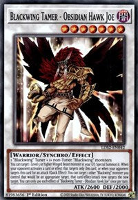 Blackwing Tamer - Obsidian Hawk Joe [LDS2-EN042] Common | Galactic Gamez