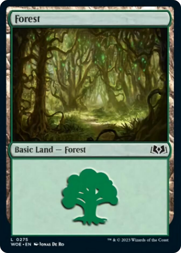 Forest (0275) [Wilds of Eldraine] | Galactic Gamez