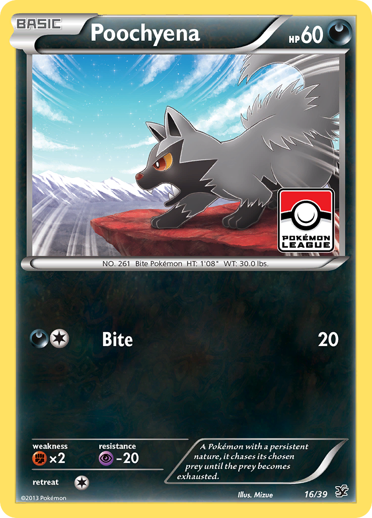 Poochyena (16/39) [XY: Kalos Starter Set] | Galactic Gamez