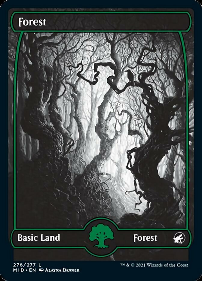 Forest (276) [Innistrad: Midnight Hunt] | Galactic Gamez