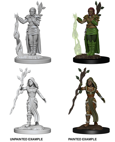 D&D Nolzur's Marvelous Miniatures: Human Druid | Galactic Gamez