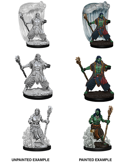 D&D Nolzur's Marvelous Miniatures: Water Genasi Druid | Galactic Gamez