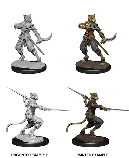 D&D Nolzur's Marvelous Miniatures: Tabaxi Rogue | Galactic Gamez