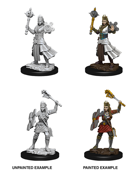 D&D Nolzur's Marvelous Miniatures: Human Cleric | Galactic Gamez