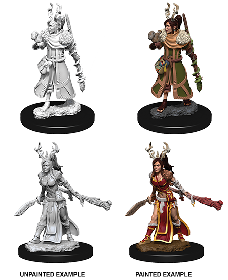 D&D Nolzur's Marvelous Miniatures: Human Druid | Galactic Gamez