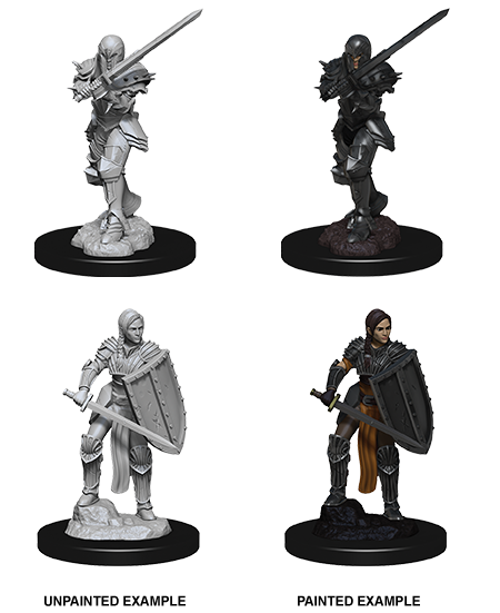 D&D Nolzur's Marvelous Miniatures: Human Fighter | Galactic Gamez