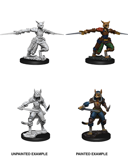 D&D Nolzur's Marvelous Miniatures: Tabaxi Rogue | Galactic Gamez