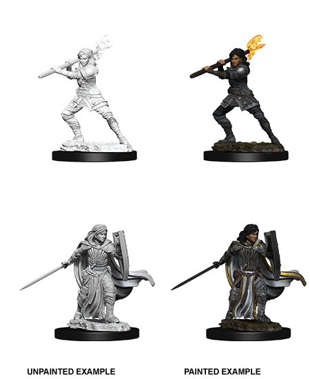 D&D Nolzur's Marvelous Miniatures: Human Paladin | Galactic Gamez