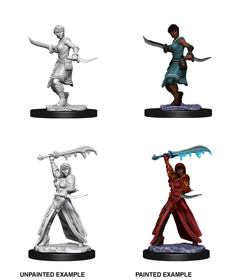 D&D Nolzur's Marvelous Miniatures: Human Rogue | Galactic Gamez