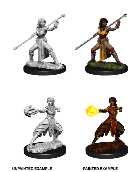 D&D Nolzur's Marvelous Miniatures: Half-Elf Monk | Galactic Gamez