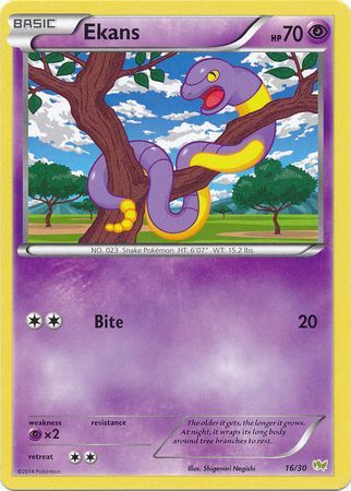 Ekans (16/30) [XY: Trainer Kit - Noivern] | Galactic Gamez