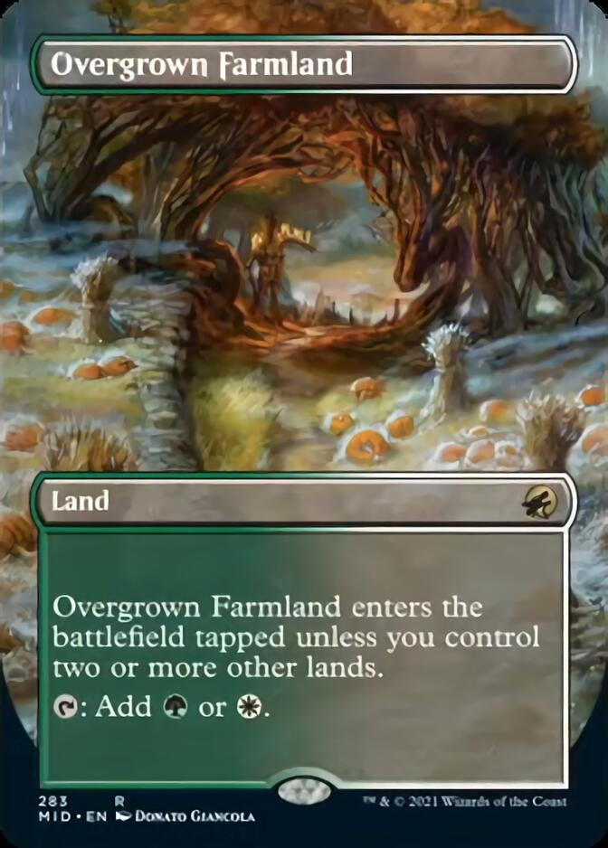 Overgrown Farmland (Borderless) [Innistrad: Midnight Hunt] | Galactic Gamez