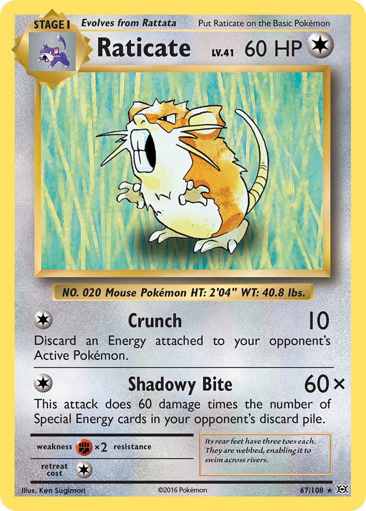 Raticate (67/108) [XY: Evolutions] | Galactic Gamez