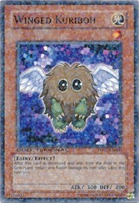 Winged Kuriboh [DT01-EN008] Common | Galactic Gamez