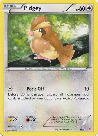 Pidgey (29/30) [XY: Trainer Kit 1 - Wigglytuff] | Galactic Gamez