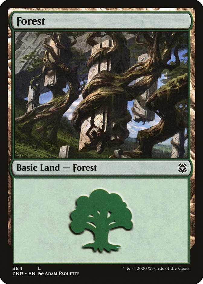 Forest (384) [Zendikar Rising] | Galactic Gamez